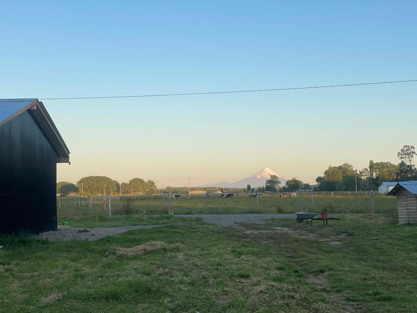 Apatere Llanquihue